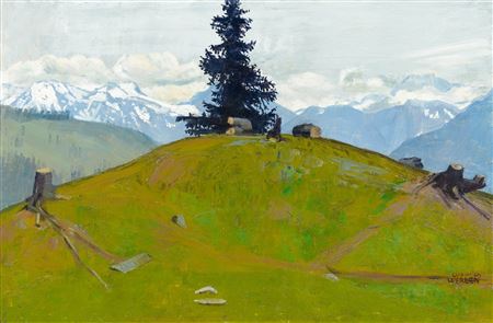 Mountain landscape with fir tree