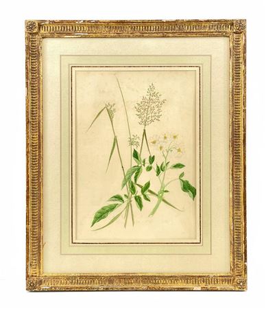FLORAL STILL LIFE