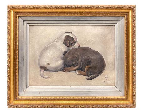 Puppies