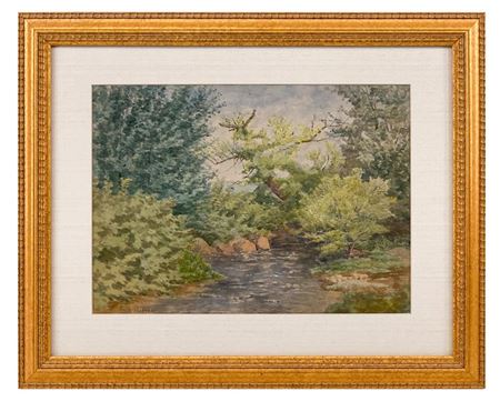 WOODLAND SCENE
