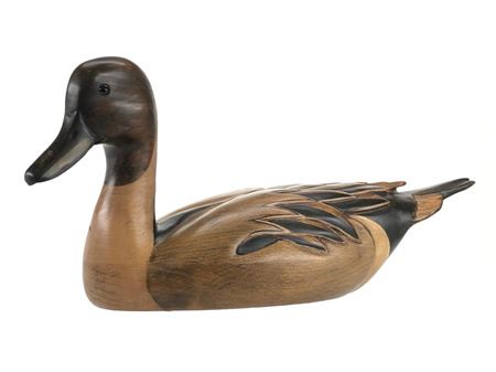 Pintail Duck Decoy