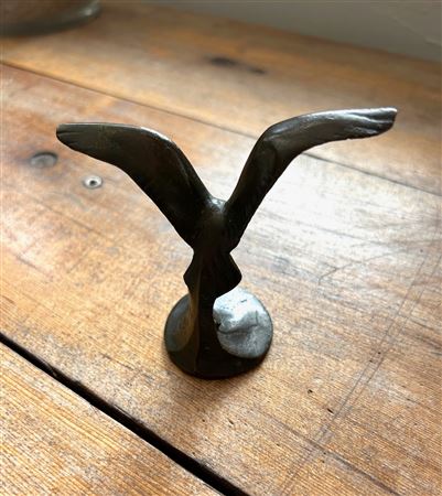 Seagull