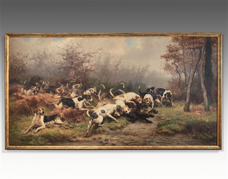 Wild boar capped by the dogs
