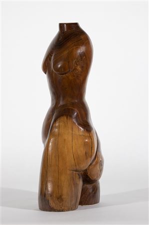 Torso