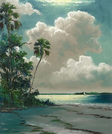 Palms Along the Coast