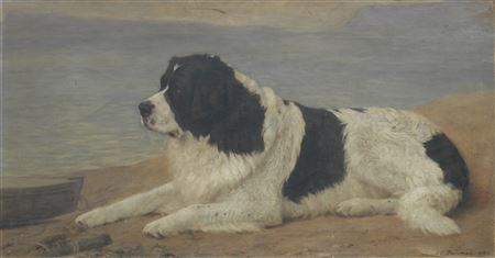 A Landseer Newfoundland by Frances C Fairman - Auction record, sale price, and art valuation. Compare with similar artists and explore comparable artworks.