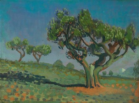 Trees in Provence