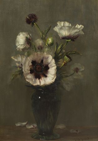 Oriental Poppy