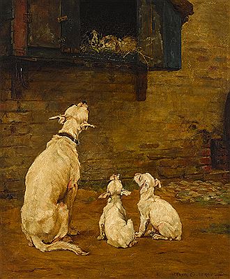 Rabbit fanciers