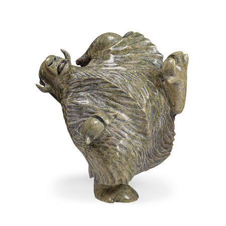 Dancing muskox