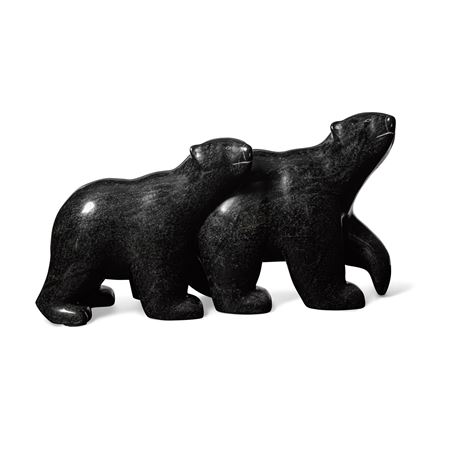 Bear with cub