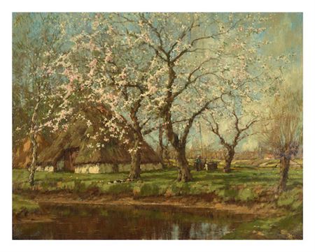 A spring landscape