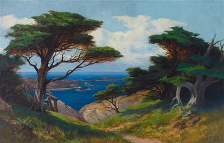 Cypress Near Point Lobos