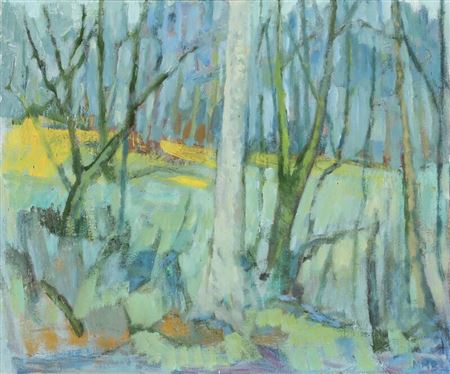 Forest landscape