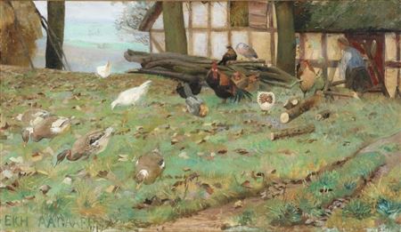 Ducks and chickens beeing fed on a farm