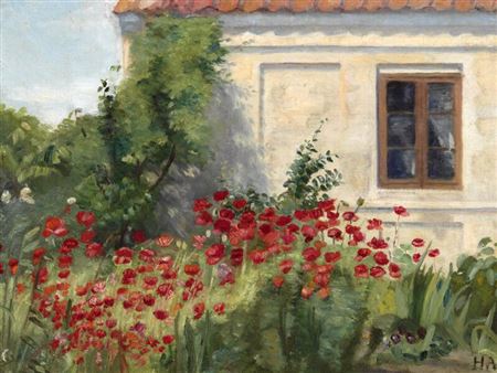 Poppies in bloom by Helga Ancher's house in Skagen.