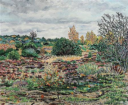 Landscape
