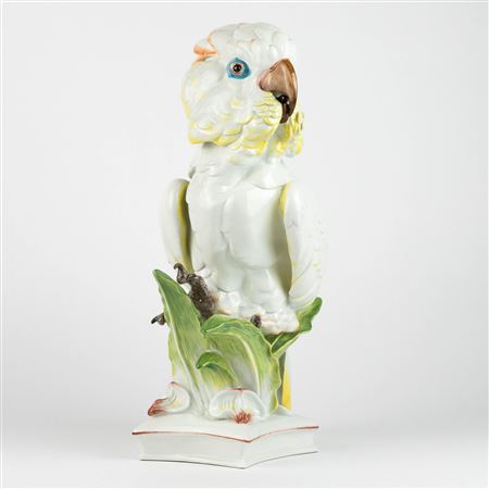 A Meissen porcelain Cockatoo.