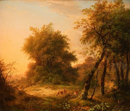 Cattle drinking near the village stream during sunset.