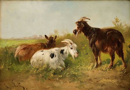 Goats in the pasture