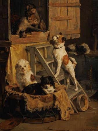 Circus Dogs and Monkeys