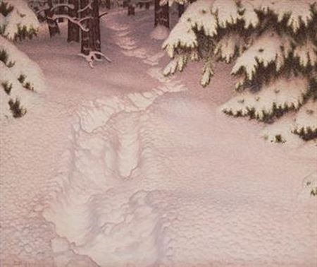 Traces in the snow