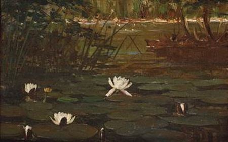 Water lilies.
