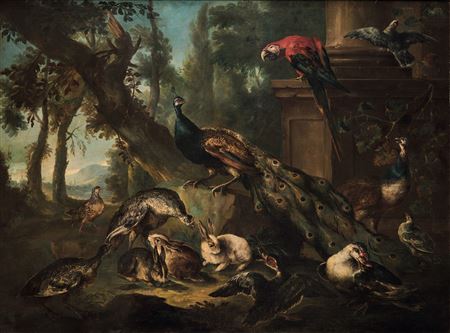View of a garden with peacock, parrot and rabbits