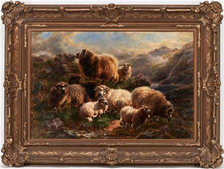Group of Sheep Resting and Grazing on a Grassy Hill