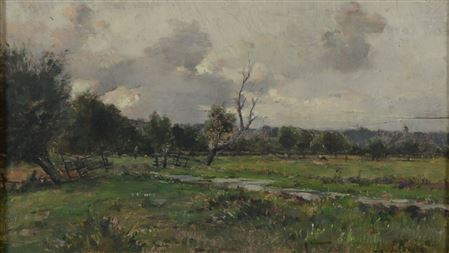 Paysage de prairie
