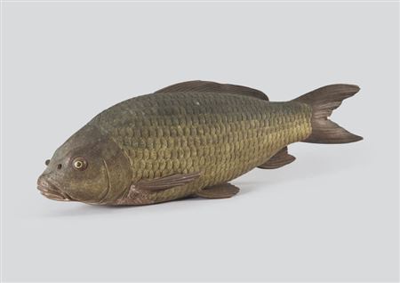 Carp