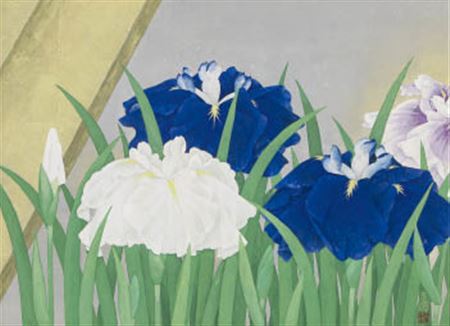 Iris