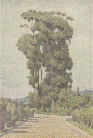 Tree and Road