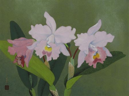 Orchid
