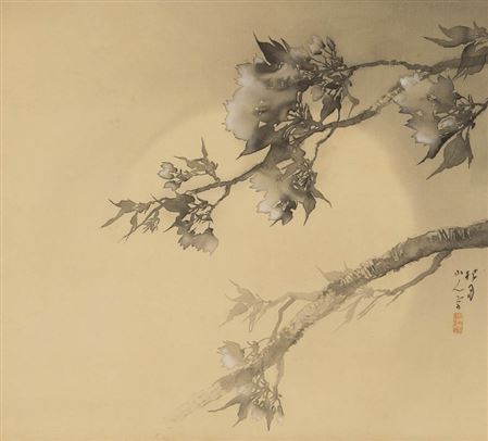 Cherry blossoms with moon in spring