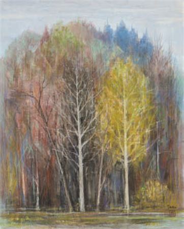 Spring forest