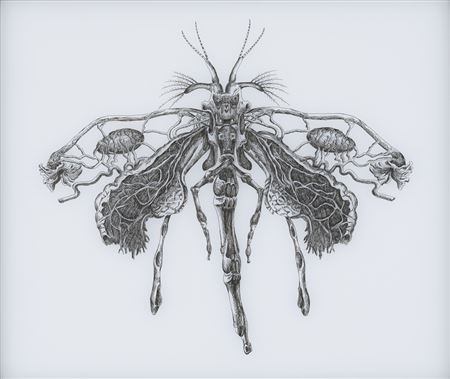 Coenagrion Puella