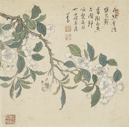 Pear Blossoms and Butterfly