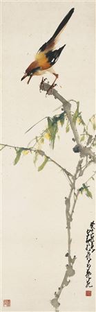 Bird Singing on Willow