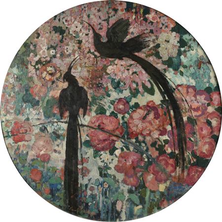 The birds of paradise
