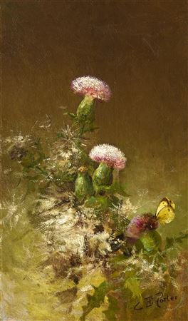Thistles in Thorns