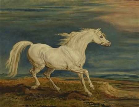 Marengo, Napoleon's Barb charger