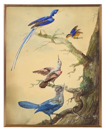 A Common Paradise Kingfisher, a Kingfisher, a Wallcreeper, and a Steller’s Jay perched on branches by Auguste Pelletier - Auction record, sale price, and art valuation. Compare with similar artists and explore comparable artworks.