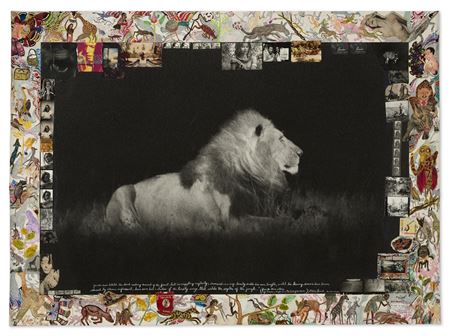 Lion at Night, 1984