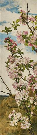Apple Blossoms