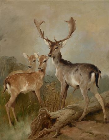 Taken by Surprise by Edwin James Douglas - Auction record, sale price, and art valuation. Compare with similar artists and explore comparable artworks.