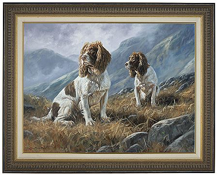 Springer spaniels on a moor