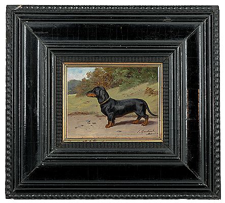 The Dachshund