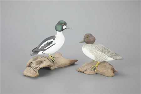 Half-Size Goldeneye Pair