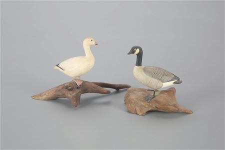 Miniature Canada and Snow Goose